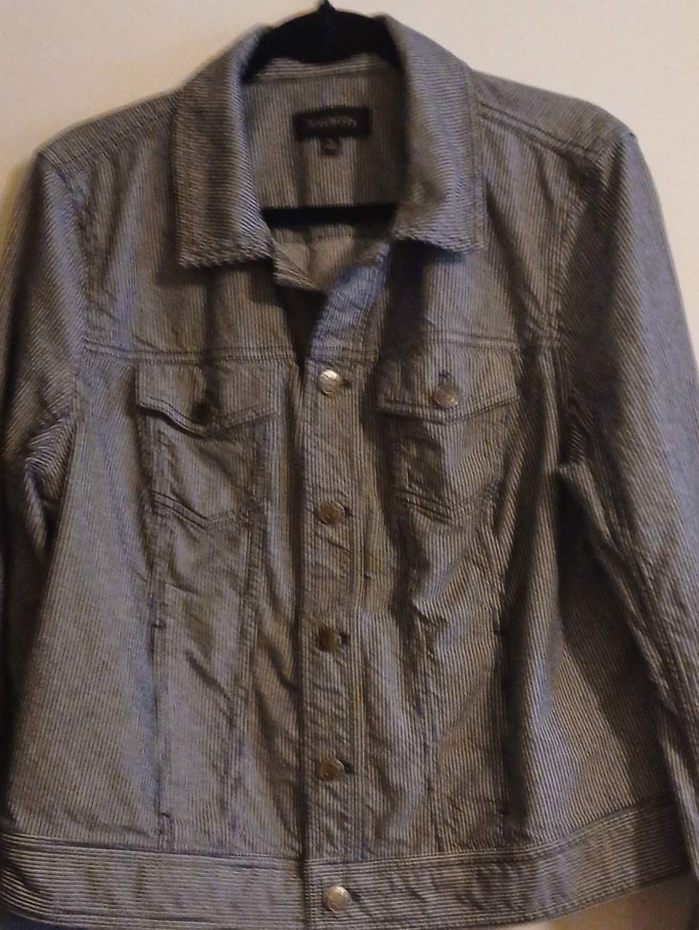 Blue Striped Denim Jacket
